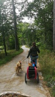 Fahr uns auf die Insel, setz uns auf ein Rad und wir sind alle den ganzen Tag beschäftigt und glücklich. 😉

#texelmithund #fietsenoptexel