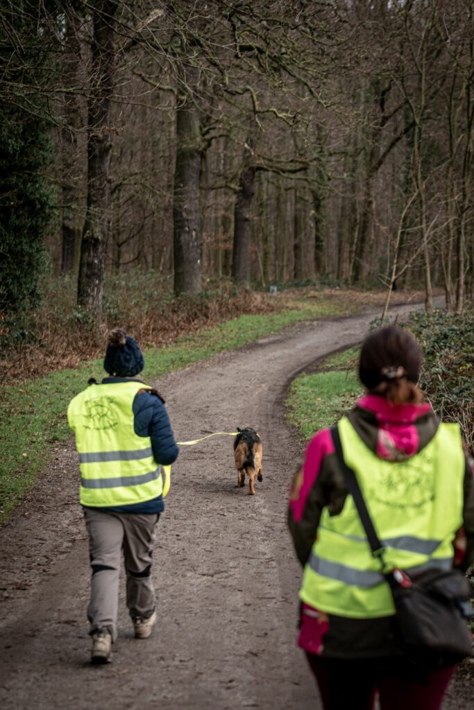 Hundeführerin mit Schäferhund die der Spur einer Person beim Mantrailing in Ratingen folgt von der Hundetrainerin begleitet.