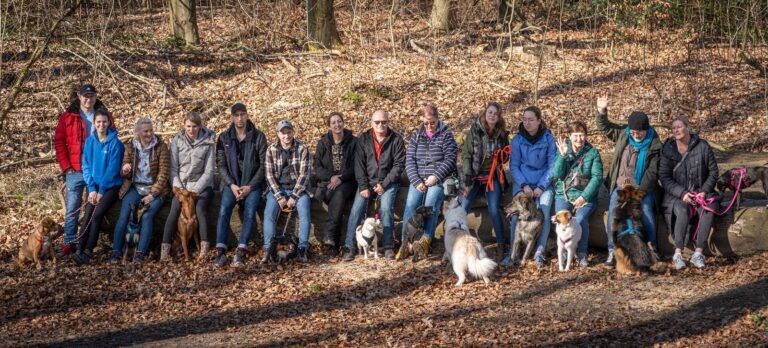 Hundeschule Roki Dogs Hundehalter sitzen mit ihren Hunden auf einem Baumstamm während einer Pause vom Social Walk.