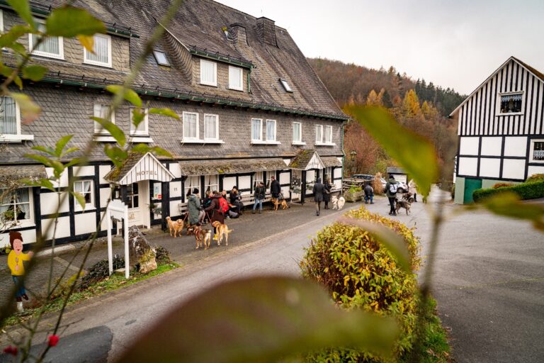 Mehrere Personen mit ihren Hunden von der Hundeschule Roki-Dogs in Ratingen während einer Hundereise, vor dem Hotel Hubertushöhe im Sauerland.