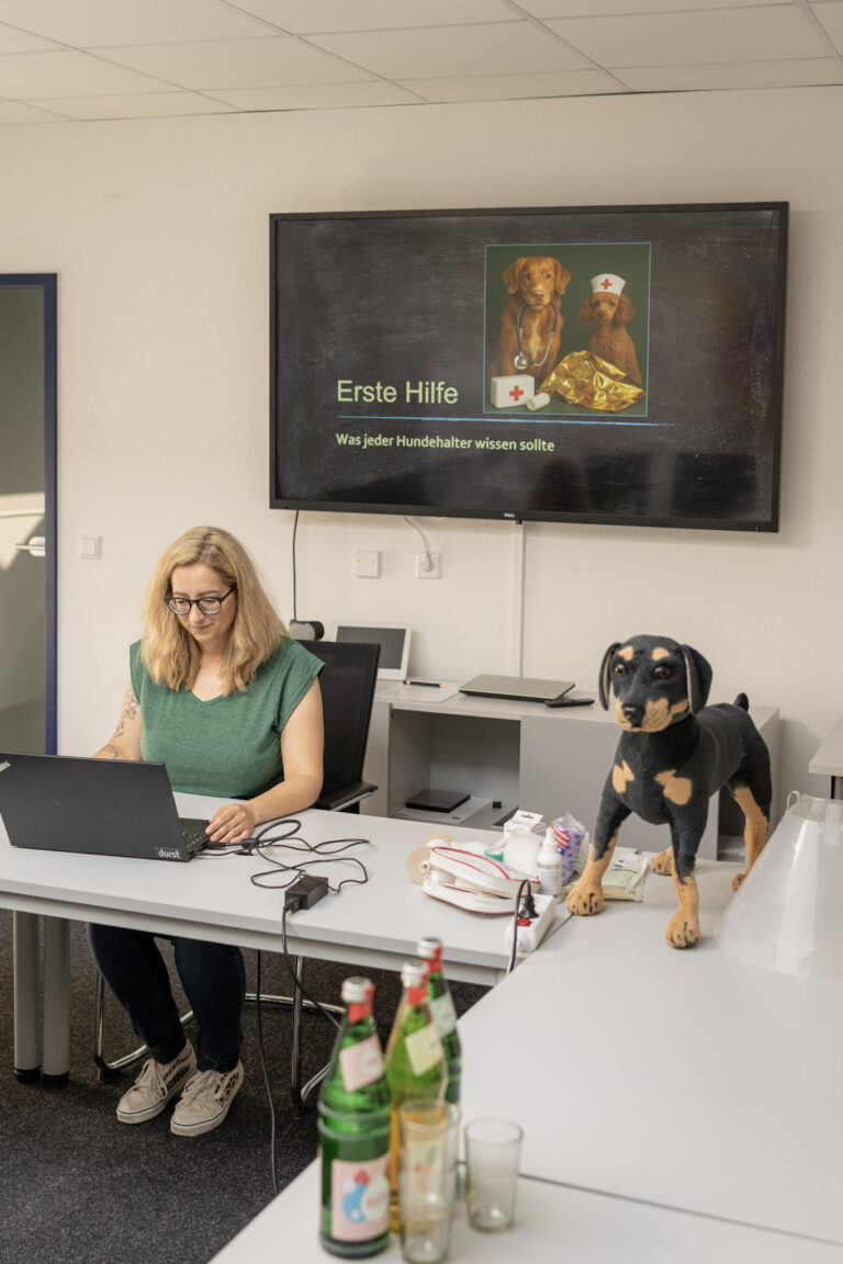 Erste Hilfe für Hunde